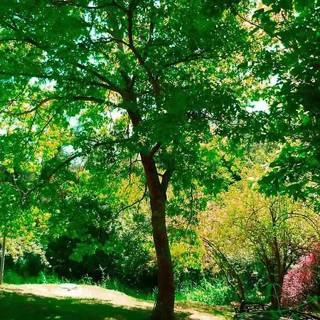 El Paller Del Molí De La Plana Сasa de vacaciones *